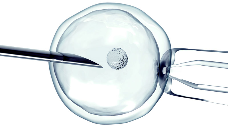 Fecundación In Vitro (FIV)
